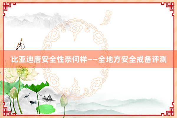 比亚迪唐安全性奈何样——全地方安全戒备评测